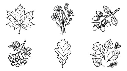 Hand drawn autumn botanical line art set, 6 black and white forest elements vector, minimalist oak and maple leaf illustrations for seasonal decor © Muhammad Sajjad