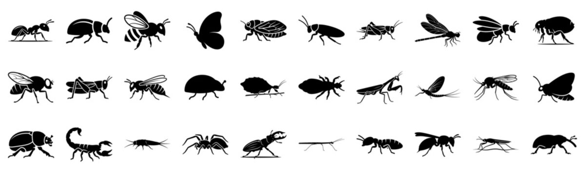 Collection of various insect solid glyph icons. Vector illustration.