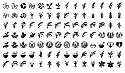 Obraz premium Rice Grain Vector Collection Paddy Silhouettes and Outline Icons