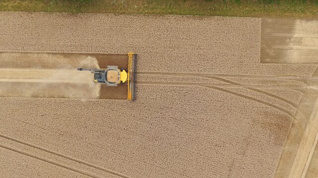 Aerial (Top-down view) Combine harvester in a grain fiel