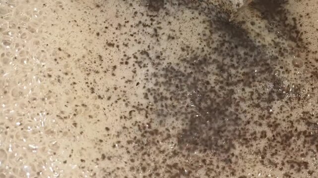 Extreme closeup of boiling or brewing tea dust and spice powder with hot milk for making traditional Indian herbal chai. Preparing refreshing drink with fresh, organic and natural Asian ingredients.