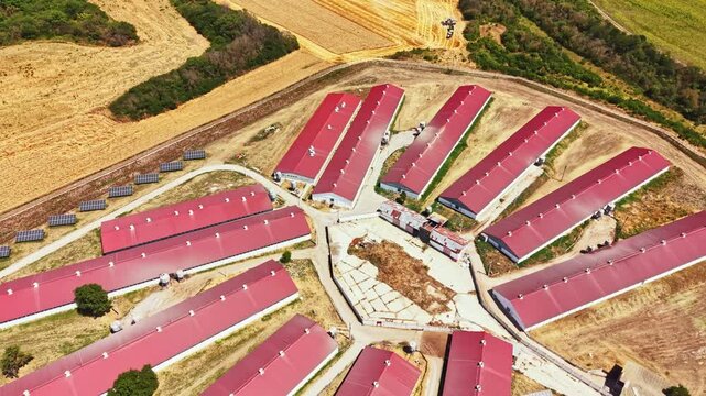 The farm shows several red-roofed barns arranged in a circular pattern. Solar panels are visible, and fields surround the farm. It is bright and clear outside.
