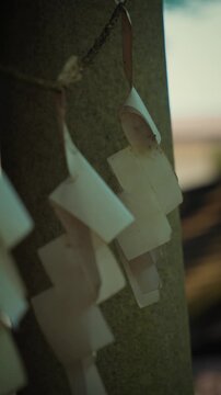 Close-up vertical panning shot of traditional white Shide paper streamers on a sacred rope at a Japanese Shinto shrine in cinematic light