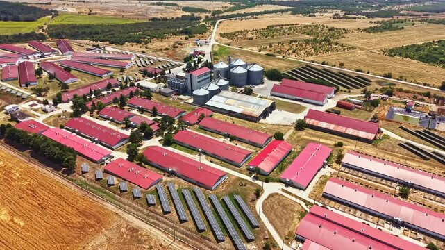 A pig farm is seen with many buildings in rows. There are silos in the center. The surrounding fields are empty. Bright daylight shines on the entire area.