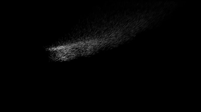 Thank You Text Animation with Particle Dispersion Effect on Black Background