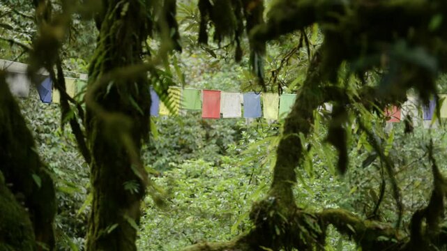 Prayer Flags in Nature in a Green Forest in Tropical Rainforest Scenery in the Himalayas in Nepal, Colorful Buddhist Prayer Flags on the Annapurna Circuit Trekking Route in Lush Greenery of Trees
