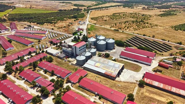 This pig farm shows several buildings with red roofs and silos. Fields stretch out in the background with some areas for crops. It is a clear day in a rural setting.