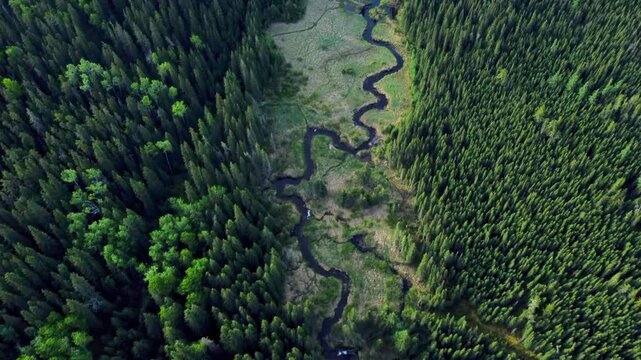Drone view of a winding creek through the Canadian forest