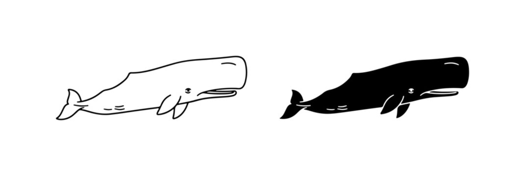 Sperm Whale Vector Icons, Black and White Marine Mammal Illustrations, Ocean Wildlife Graphics