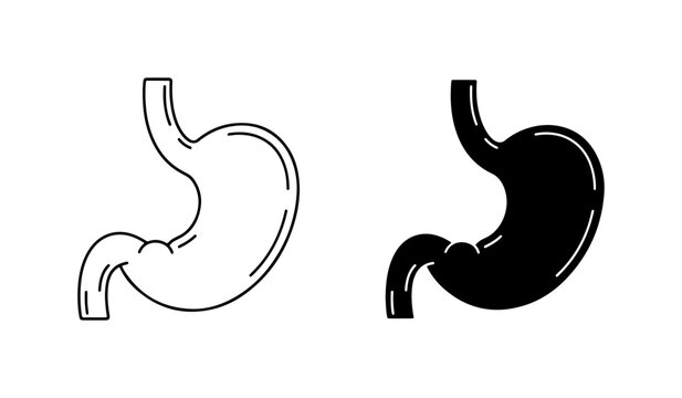 Stomach Anatomy Vector Icons, Human Digestive System Outline and Silhouette, Medical Healthcare Graphics