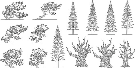 Obraz premium Vector collection of hand drawn line art trees featuring pine, fir, dead branches, and windswept silhouettes