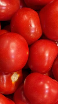 Fresh red tomatoes fill frame creating vibrant food background