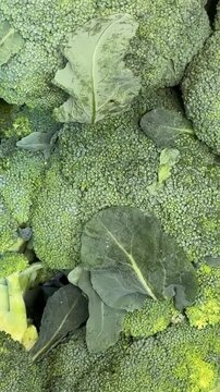Close up of fresh broccoli heads with green leaves, suitable for use as healthy food background