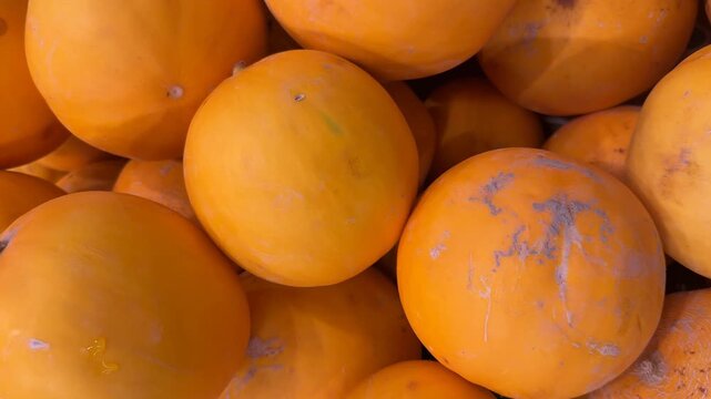 Yellow melons closely packed create a vibrant colorful background for summer concepts