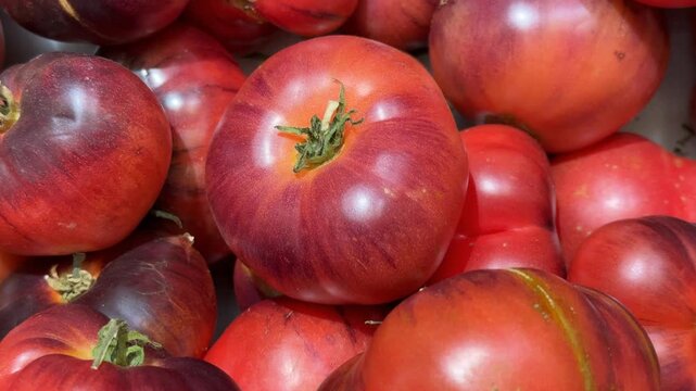 Fresh ripe heirloom tomatoes with vibrant red and purple hues up close, ideal for background