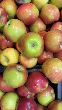 Fresh ripe apples in various shades of red and green create a vibrant fruit background