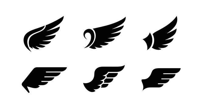 Wing Silhouettes Collection Black Shapes On White Background Silhouette