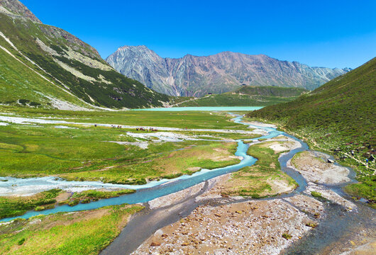 The Riffl River leading into Lake Rifflsee in the Pitztal in Austria, nice green glacier valley landscape