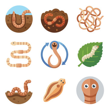 Nine flat vector icons of diverse worms, including earthworms in dirt, parasites, a caterpillar on a leaf, and flatworms, designed for biology educational infographics.