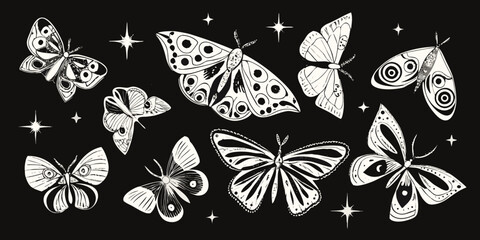 Collection Of White Butterflies Detailed Vector Illustration © Prodip