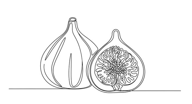 A continuous line drawing of a fig, whole and halved, revealing interior
