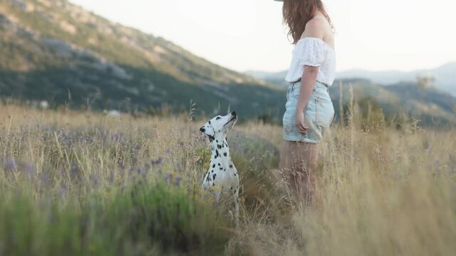 A woman and her Dalmatian share a quiet moment in a flowering mountain meadow. Natural lifestyle video with authentic interaction and beautiful summer landscape.