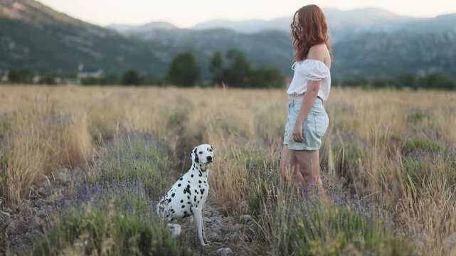 A woman spends time with her Dalmatian surrounded by blooming wildflowers and mountain scenery. Peaceful outdoor lifestyle video with authentic interaction and natural movement.