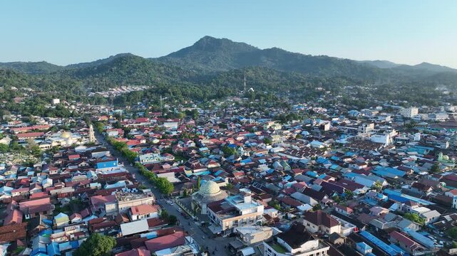 A vibrant mountain village densely built on green slopes under a clear blue sky.