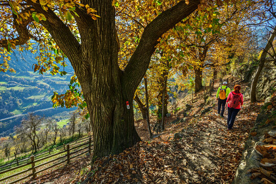 People hiking on the Keschtnweg trail in South Tyrol during autumn