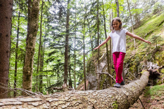 A young girl balances on a fallen tree log during a forest hike