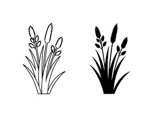 Plantain Weed Vector Icons, Outline and Silhouette, Nature Elements for Organic Design © Nime