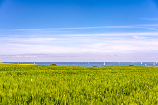 Green field by the Baltic Sea with sailboats in Strande Germany