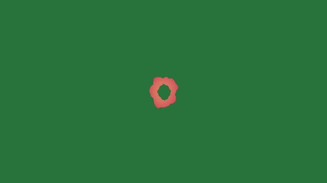 White border and red circle on screen it phone rose an orange flower letter o isolated on green screen background