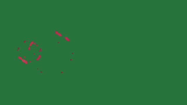 White border and screen an orange apple on red heart it flower small dot isolated on green screen background