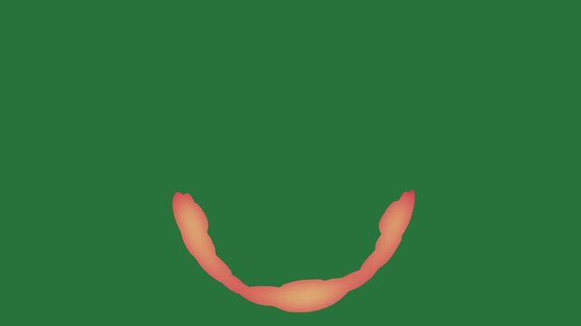 White border and screen red circle rose face the letter o small dot flower orange isolated on green screen background