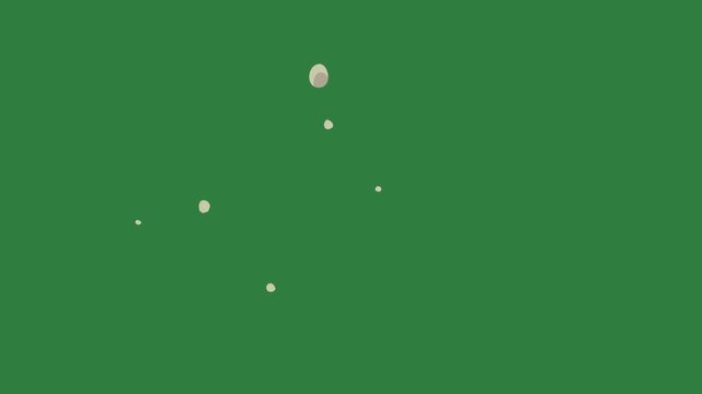 Object on circles it face circle cat isolated on green screen background