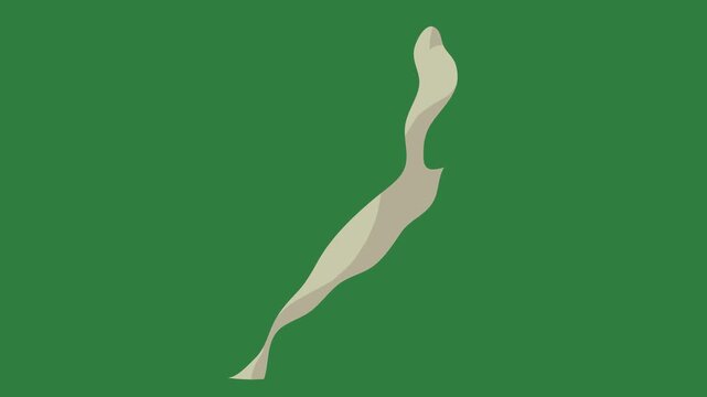 Map of new zealand and white silhouette on screen black image wave it man hole bird piece paper isolated on green screen background