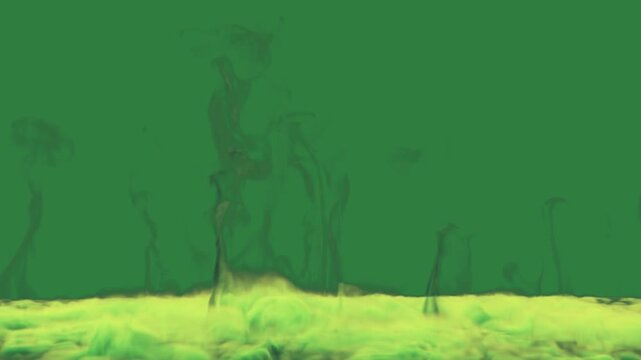 Grass in the fore some it isolated on green screen background