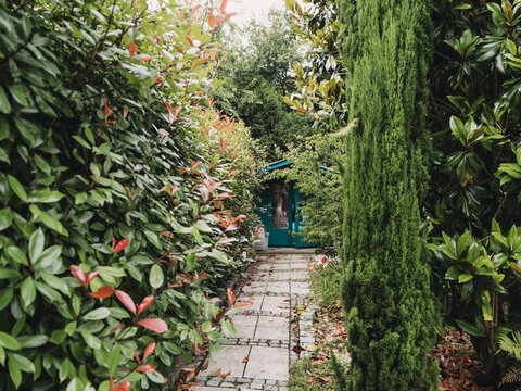Stone path leading to a pool house in a lush green backyard