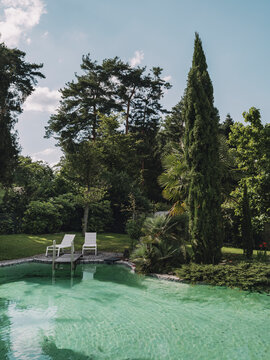 Empty freeform swimming pool in a green summer garden