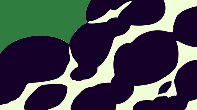 Silhouette of man and black white flock birds image leaf dots cow pattern spots dog eyes bubbles background group people isolated on green screen background