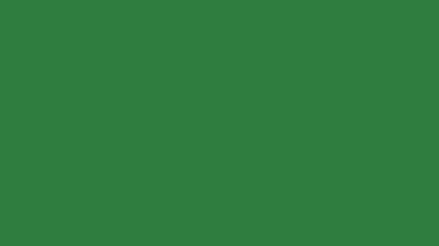 Border smoke coming out of tree in the isolated on green screen background