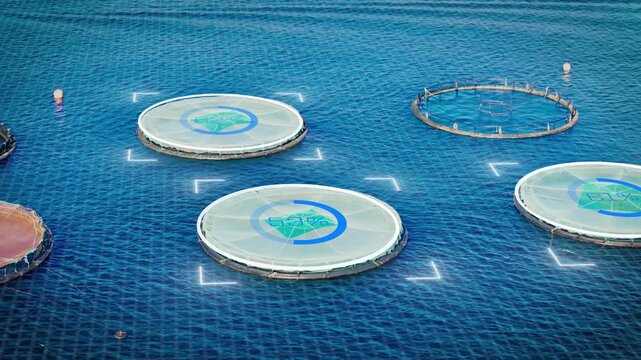Aerial view of offshore fish farm cages with AI smart aquaculture management, remote stock control, and real-time production tracking