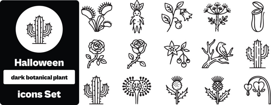 Set of 15 outline icons related to botanical, plant - collection of venus flytrap, mandrake, rose, cactus, thistle, bleeding heart, branch, flower vector elements