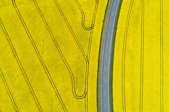 Germany, Bavaria, Aerial view of empty highway between vast rapeseed fields in spring