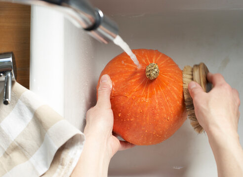 Hands of woman cleaning Hokkaido pumpkin with vegetable brush in sink, elevated view