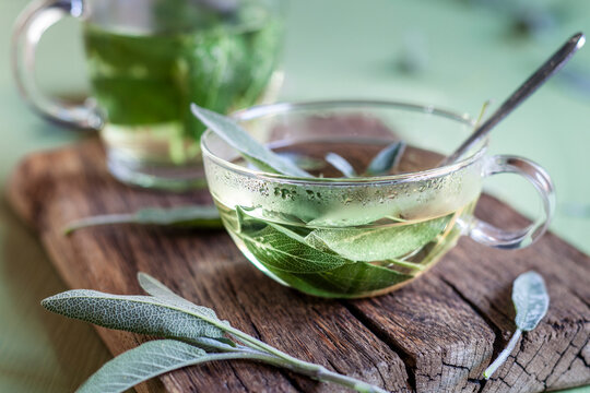 Cup of hot sage tea