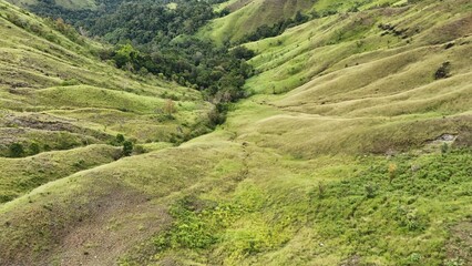 Obraz premium Rolling Green Hills and Lush Tropical Valley Landscape with Scenic Mountain View