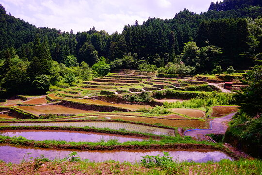 日本の原風景 Images – Browse 2,521 Stock Photos, Vectors, and