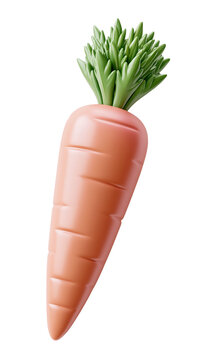 Cute orange carrot with light green leafy top and grooved root isolated on transparent background for fresh vegetable menu design